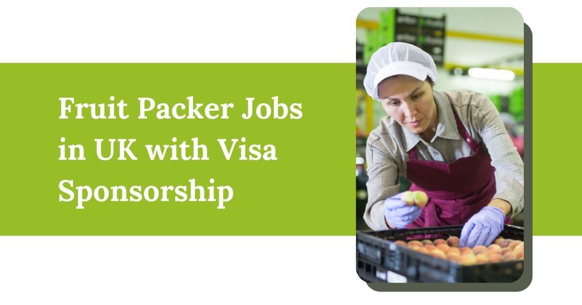 Fruit Packer Jobs in UK with Visa Sponsorship