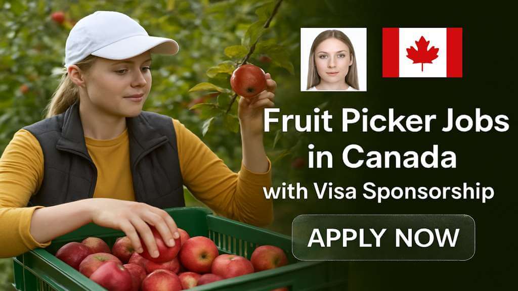 Fruit Picker Jobs in Canada with Visa Sponsorship
