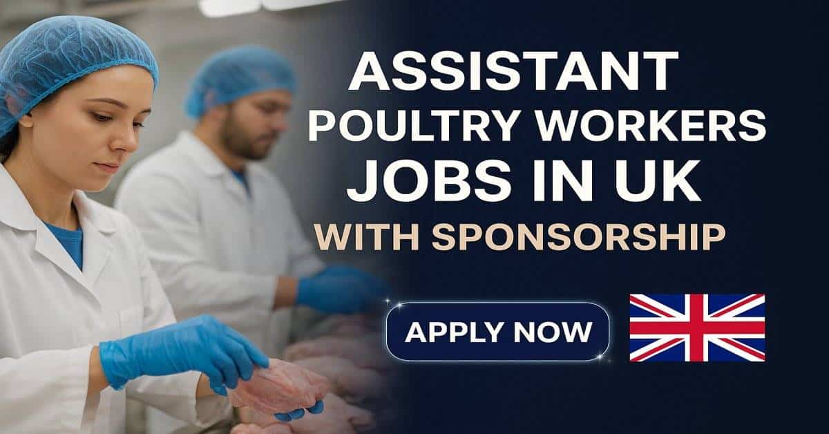 Assistant Poultry Workers Jobs in UK with Sponsorship