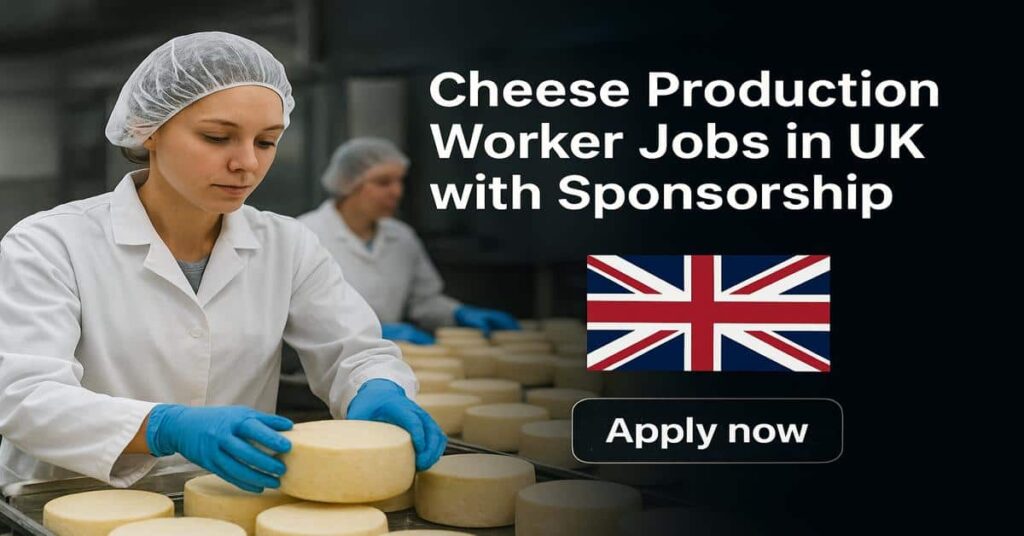 Cheese Production Worker Jobs in UK with Sponsorship