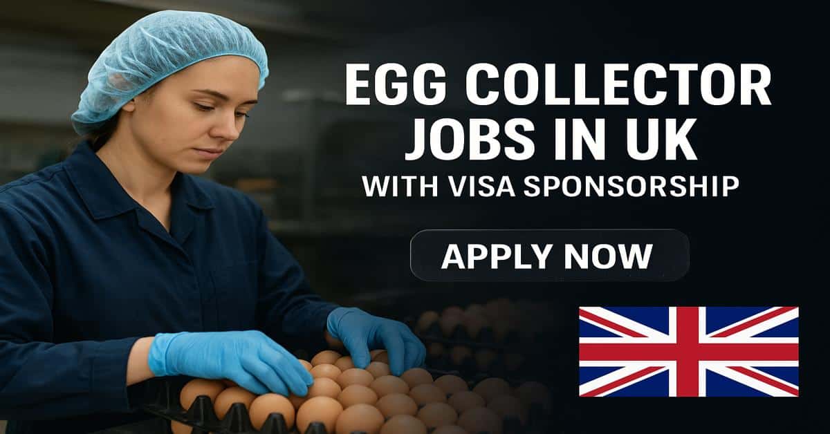 Egg Collector Jobs in UK with Visa Sponsorship