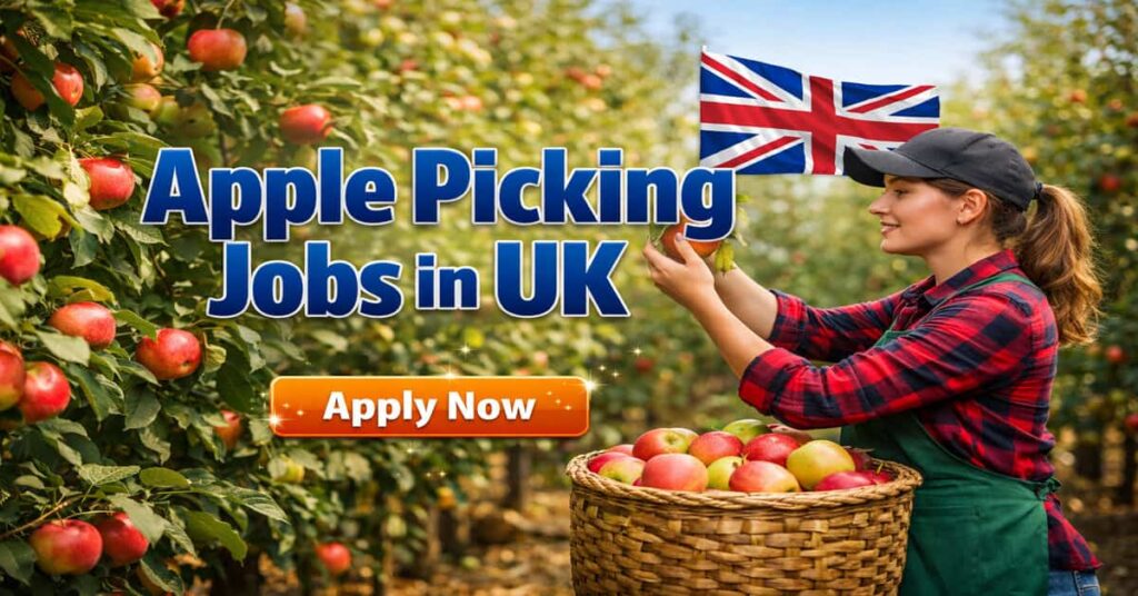 Apple Picking Jobs in UK